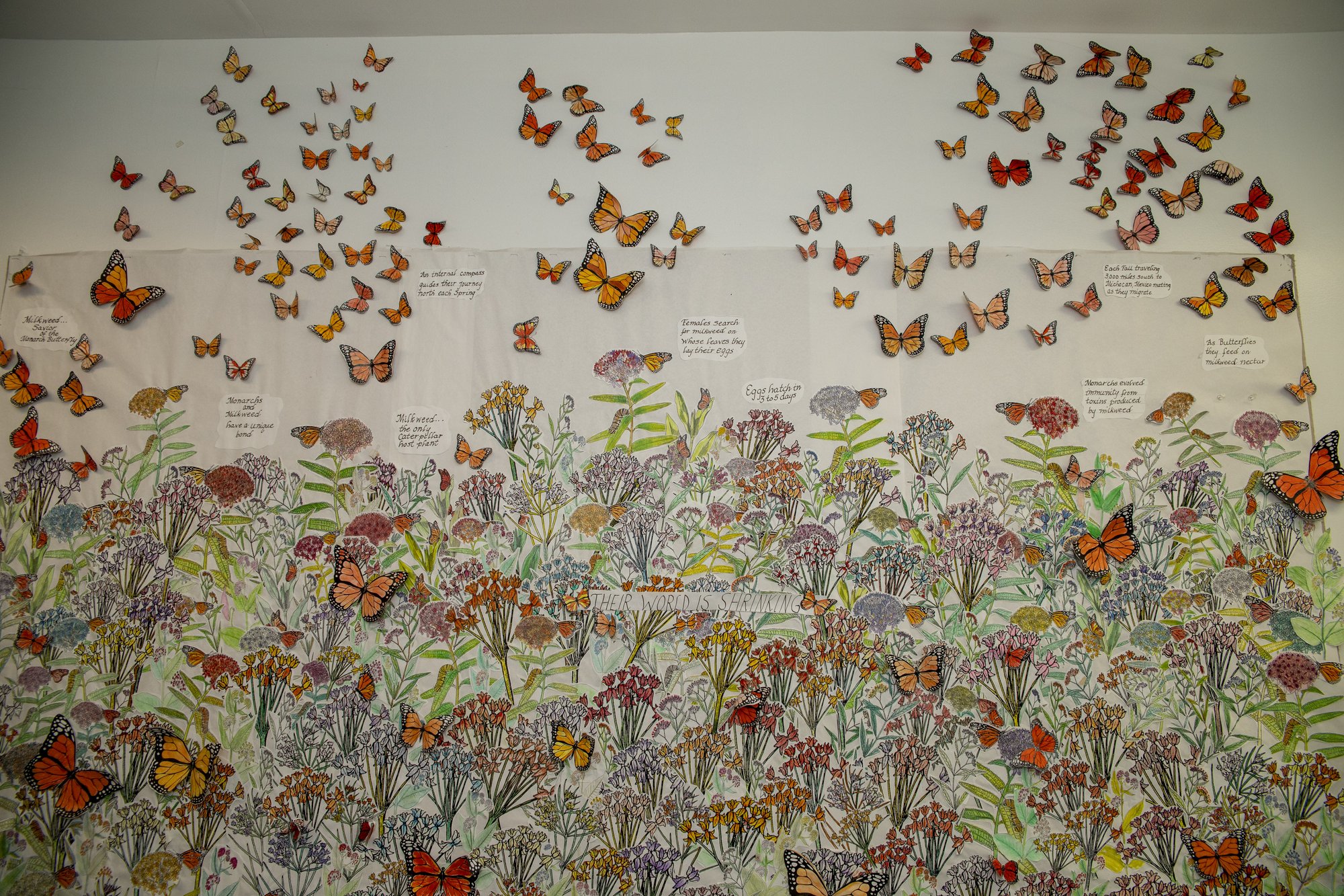 Student-made butterfly art installation rising over a painted meadow at The Hudson School